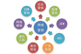 教育咨詢行業(yè)中的網(wǎng)絡(luò)營(yíng)銷與網(wǎng)絡(luò)推廣 協(xié)同共進(jìn)的雙翼